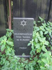 Малобродская Голда Львовна, Москва, Салтыковское кладбище