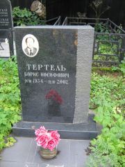 Тертель Борис Иосифович, Москва, Салтыковское кладбище
