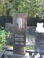 Рубин Вениамин Абрамович, Москва, Салтыковское кладбище