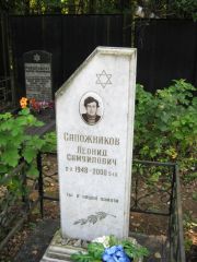 Сапожников Леонид Самуилович, Москва, Салтыковское кладбище