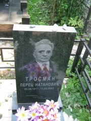 Тросман Перец Натанович, Москва, Салтыковское кладбище
