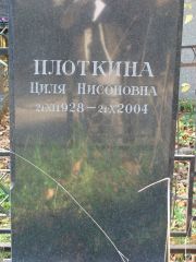 Плоткина Циля Нисоновна, Москва, Востряковское кладбище