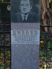 Кнелер Александр Борисович, Москва, Востряковское кладбище