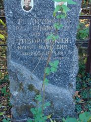 Тиворовская Рива Бенционовна, Москва, Востряковское кладбище