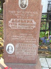 Дольник-Лейферман Дора Исаевна, Москва, Востряковское кладбище