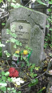Берман Исаак Борисович, Москва, Востряковское кладбище