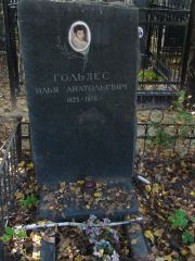 Гольдес Илья Анатольевич, Москва, Востряковское кладбище