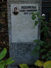 Розенфельд Семен Самуилович, Москва, Востряковское кладбище
