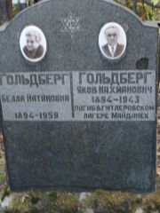 Гольдберг Белла Натановна, Москва, Востряковское кладбище
