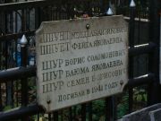 Шур Борис Соломонович, Москва, Востряковское кладбище