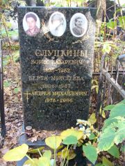 Слуцкина Берта Моисеевна, Москва, Востряковское кладбище
