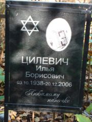 Цилевич Илья Борисович, Москва, Востряковское кладбище