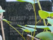 Глейзер-Зазовская Зинаида Соломоновна, Москва, Востряковское кладбище
