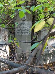 Файнлейб Борис Иосифович, Москва, Востряковское кладбище