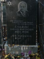 Слуцкин Минай Миронович, Москва, Востряковское кладбище