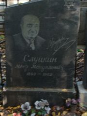 Слуцкин Меер Менделевич, Москва, Востряковское кладбище