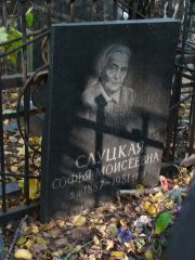 Слуцкая Софья Моисеевна, Москва, Востряковское кладбище