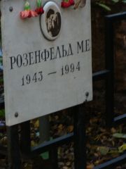 Розенфельд М. Е., Москва, Востряковское кладбище