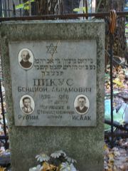 Пикус Бенцион Абрамович, Москва, Востряковское кладбище