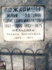 Фельдман Рахиль Борисович, Москва, Востряковское кладбище