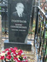 Голубов Борис Соломонович, Москва, Востряковское кладбище