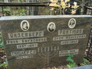 Айзенберг Роза Борисовна, Москва, Востряковское кладбище