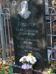 Гершатер Давид Михелевич, Москва, Востряковское кладбище