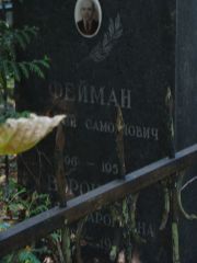 Воронова Зельда Ароновна, Москва, Востряковское кладбище