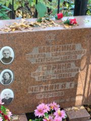 Сорина Вера Марковна, Москва, Востряковское кладбище