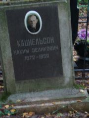 Кацнельсон Нахим Зеликович, Москва, Востряковское кладбище