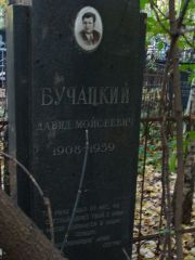 Бучацкий Давид Моисеевич, Москва, Востряковское кладбище