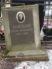 Кацнельсон Нахим Зеликович, Москва, Востряковское кладбище