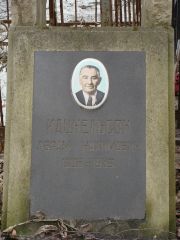 Кацнельсон Абрам Нахимович, Москва, Востряковское кладбище