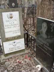 Щеголь Ася Израилевна, Москва, Востряковское кладбище