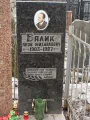 Бялик Яков Михайлович, Москва, Востряковское кладбище