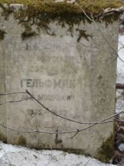 Гельфман Лев Мошкович, Москва, Востряковское кладбище