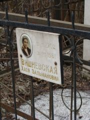 Вишневская Хася Зальмановна, Москва, Востряковское кладбище