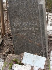 Мичников Борис Григорьевич, Москва, Востряковское кладбище
