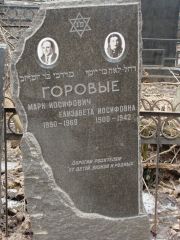Горовая Елизавета Иосифовна, Москва, Востряковское кладбище