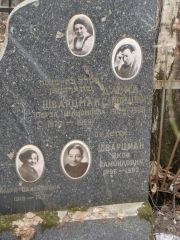 Шварцман Давид Самойлович, Москва, Востряковское кладбище