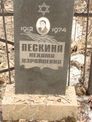 Пескина Нехама Израилевна, Москва, Востряковское кладбище