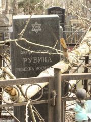 Рубина Ревекка Иосифовна, Москва, Востряковское кладбище