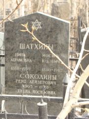 Соколин Герц Лейзерович, Москва, Востряковское кладбище