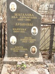 Шагалова Ида Абрамовна, Москва, Востряковское кладбище