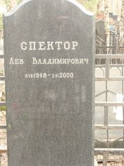 Спектор Лев Владимирович, Москва, Востряковское кладбище