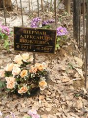 Шерман Александра Яковлевна, Москва, Востряковское кладбище