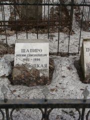 Шапиро Нахим Самуилович, Москва, Востряковское кладбище