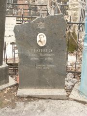 Шапиро Ефим Маркович, Москва, Востряковское кладбище