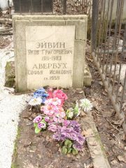 Авербух Софья Исаковна, Москва, Востряковское кладбище