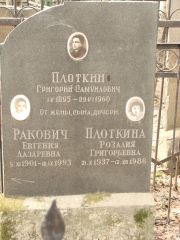 Плоткина Розалия Григорьевна, Москва, Востряковское кладбище